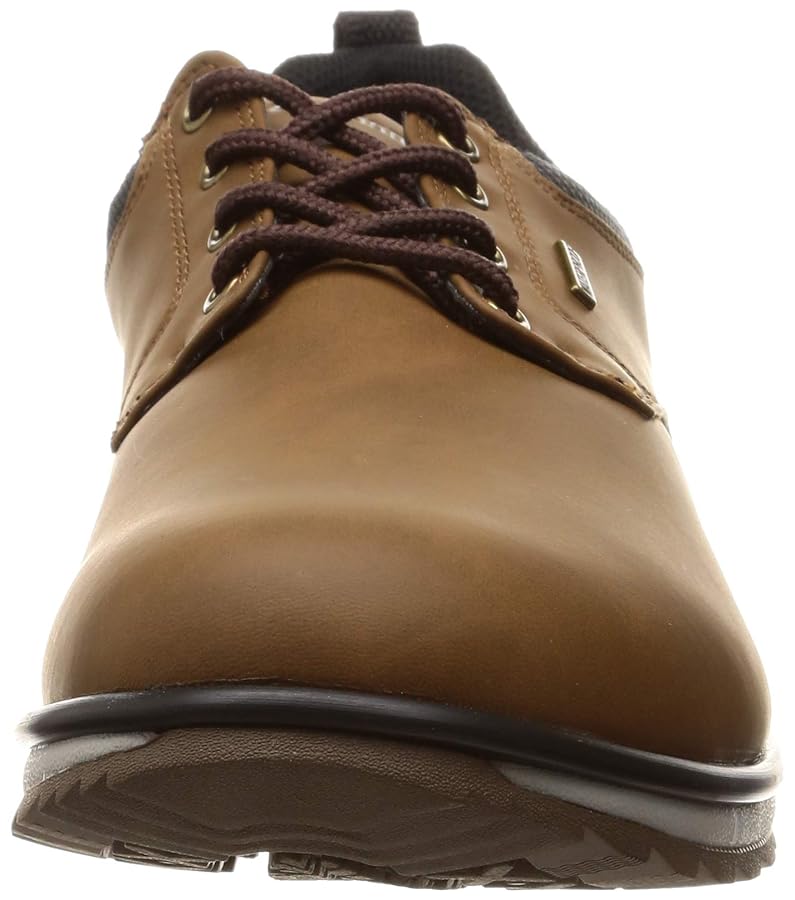 Amazon.co.jp: Moonstar MS RP007 Men's Sneakers, Waterproof