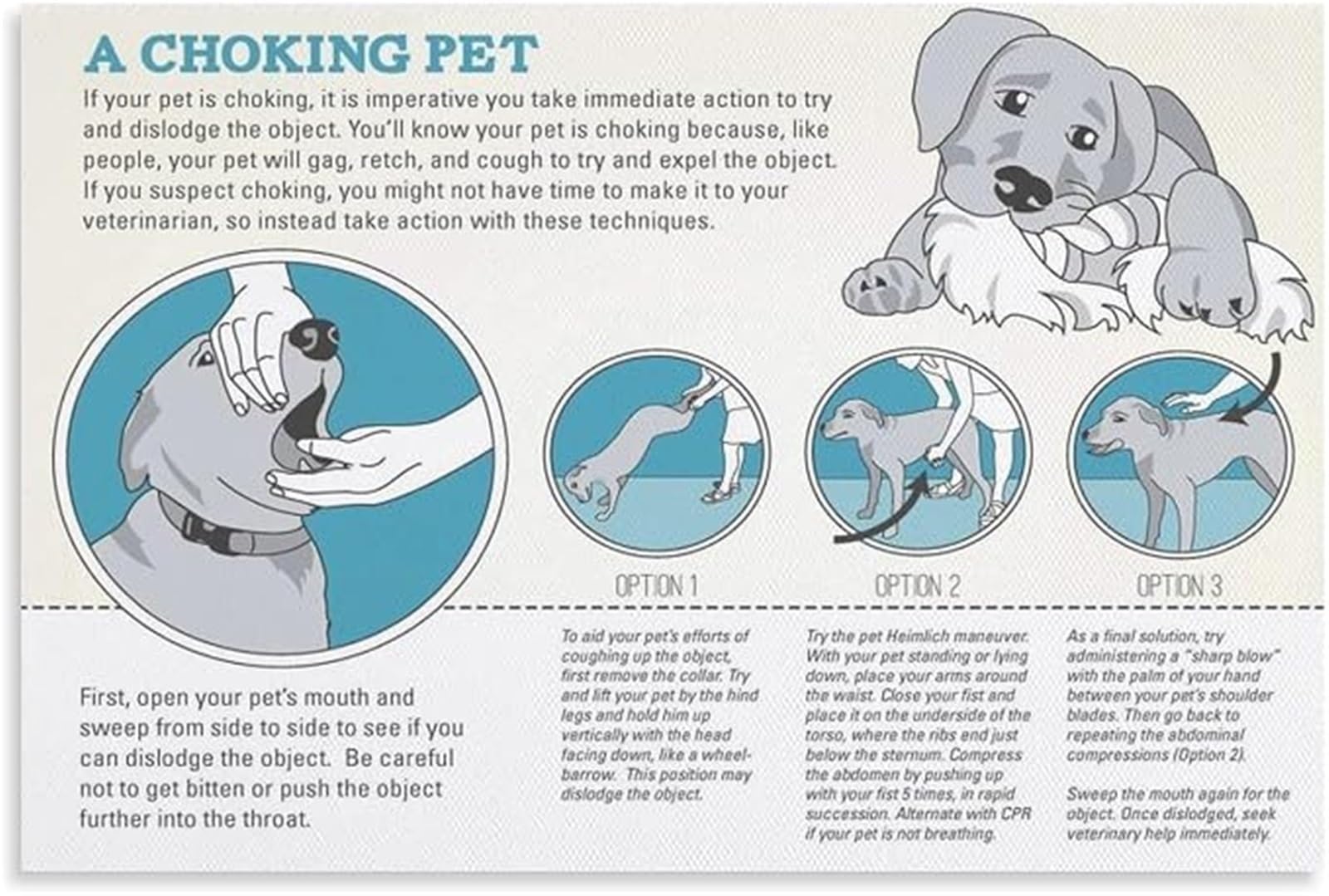 Dog Owner Emergency Poster Canine First Aid CPR Quick Reference Print