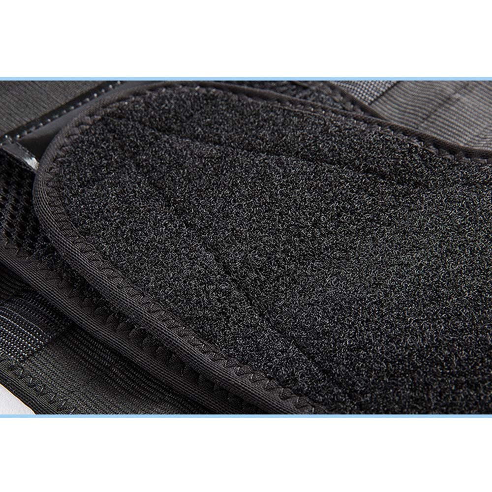 Lumbar para la Espalda, Soporte Lumbar para Aliviar el Dolor y Lesiones, Cinturon Lumbar Prevenir Daños, Faja Lumbar para la Espalda para Hombres Negro,L