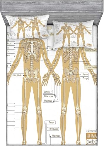Miniatura 135 de Ambesonne Juego de sábanas bajeras y fundas de almohada, deliciosos tacos con verduras, cocina folclórica, ingredientes de recetas de comida Beige