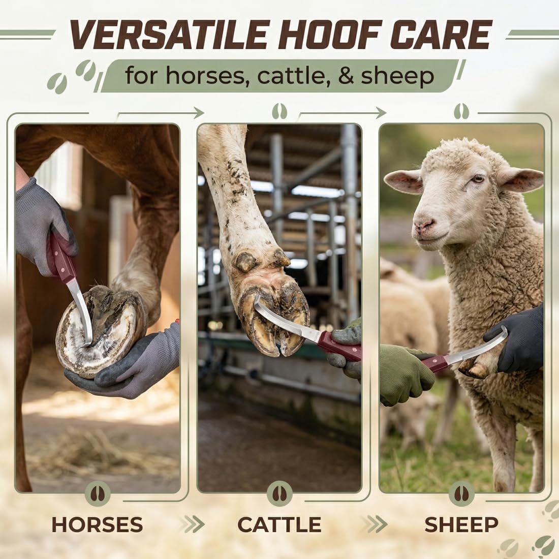 Herramienta para Recortar Pezuñas para Caballo, raspador de pezuñas de 22.5 cm diestros, Cuchilla de Doble Filo, Cuchillo para Pezuñas, para el Uso del Caballo de Ganado, ovinos