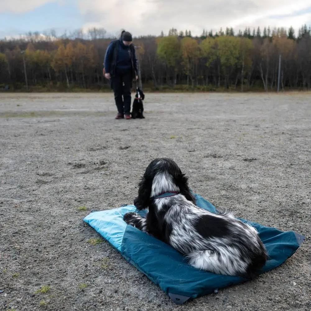 Nonstop Dogwear Trekking Panier pour chien M (L)