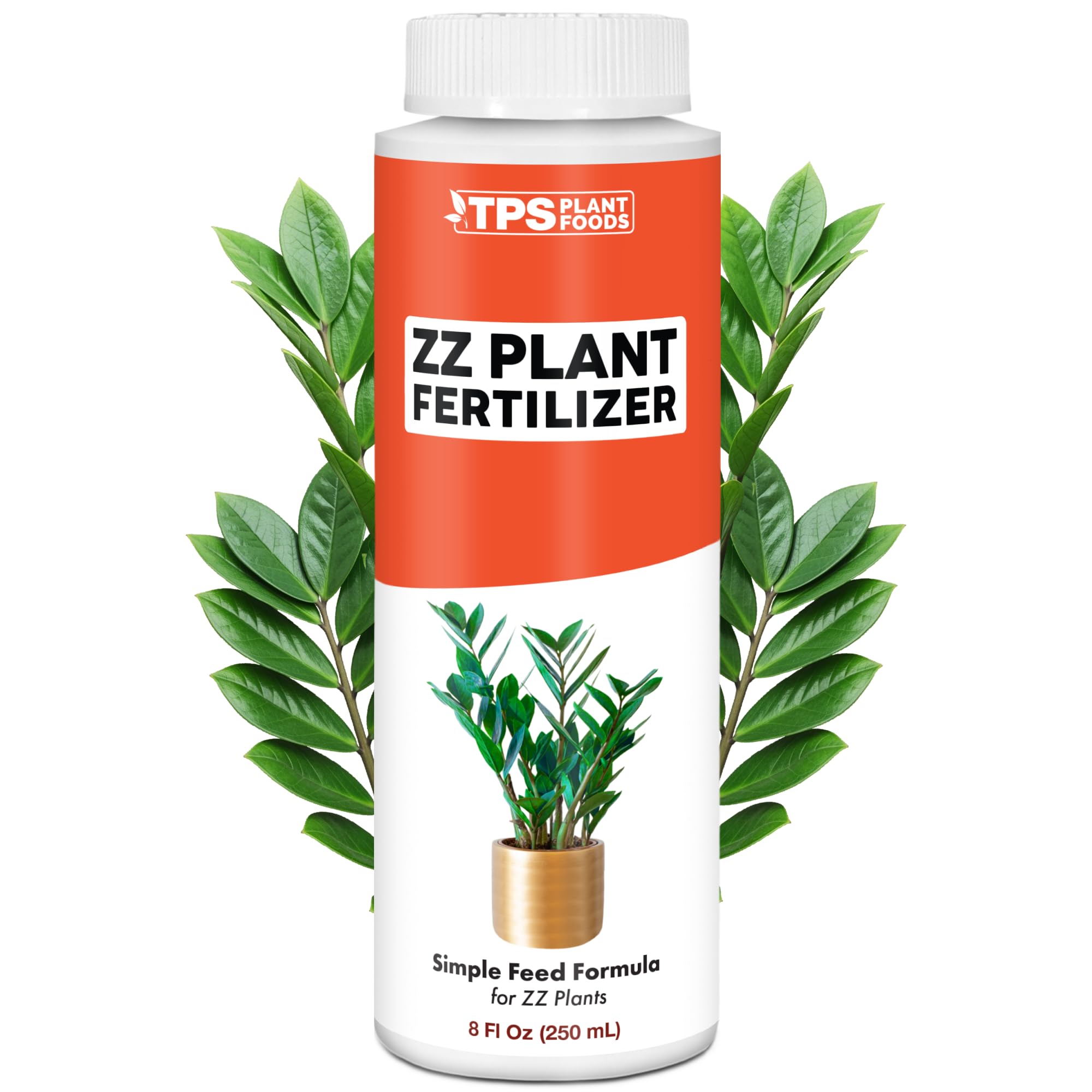 Amazon.com : ZZ Plant Fertilizer  Liquid Plant Food for Glossy Green  Leaves, Stronger Roots & Healthy New Growth, 8 oz : Patio, Lawn & Garden