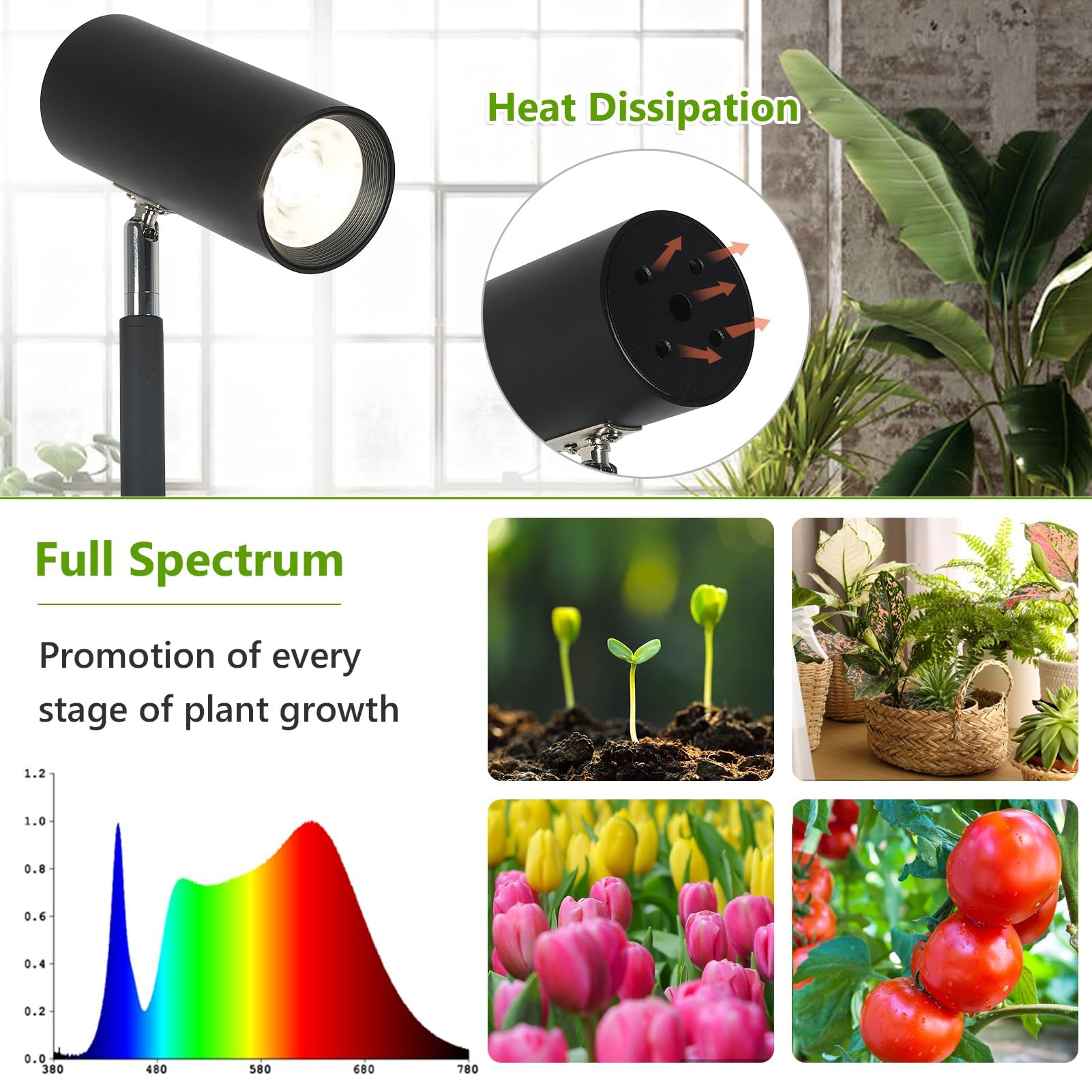 Rayofly Pflanzenlampe LED Vollspektrum, 20W Pflanzenlicht für Zimmerpflanzen, Höhenverstellbare Wachstumslampe mit Zeitschaltuhr 4/8/12H und COB Pflanzen-Glühbirne, Stand Grow Light für Große Pflanze