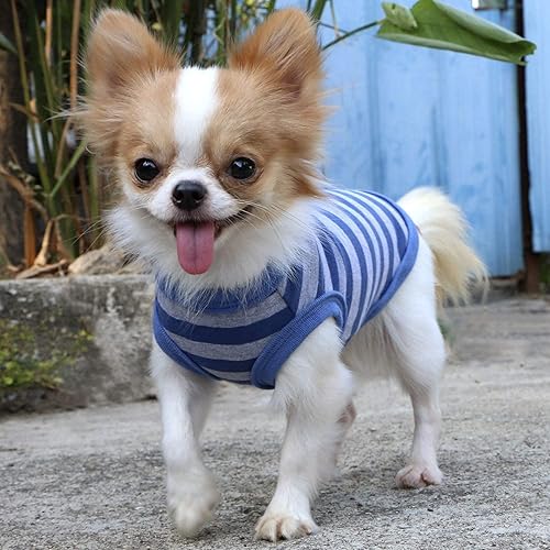 Miniatura 6 de Lophipets camisas para perros pequeños 100% algodón a rayas para cachorros perros Chihuahua
