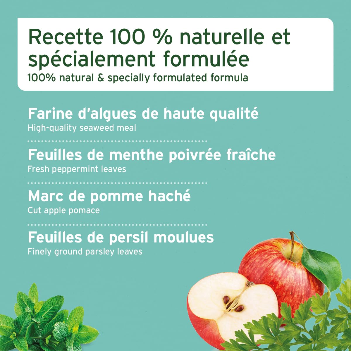 AniForte Denta Clean & Care 300 g – Poudre Naturelle Soins Dentaires pour Chiens & Chats, Anti-Plaque et Haleine Fraîche - Conserve Hygiène buccale