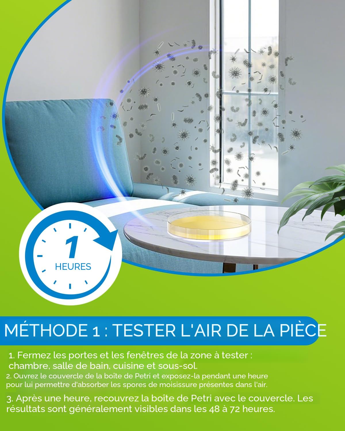 Evviva Sciences Kit de test de moisissure pour la maison – 10 tests de détection faciles avec analyse en laboratoire facultative (frais supplémentaires), système CVC, surfaces et kit de test de