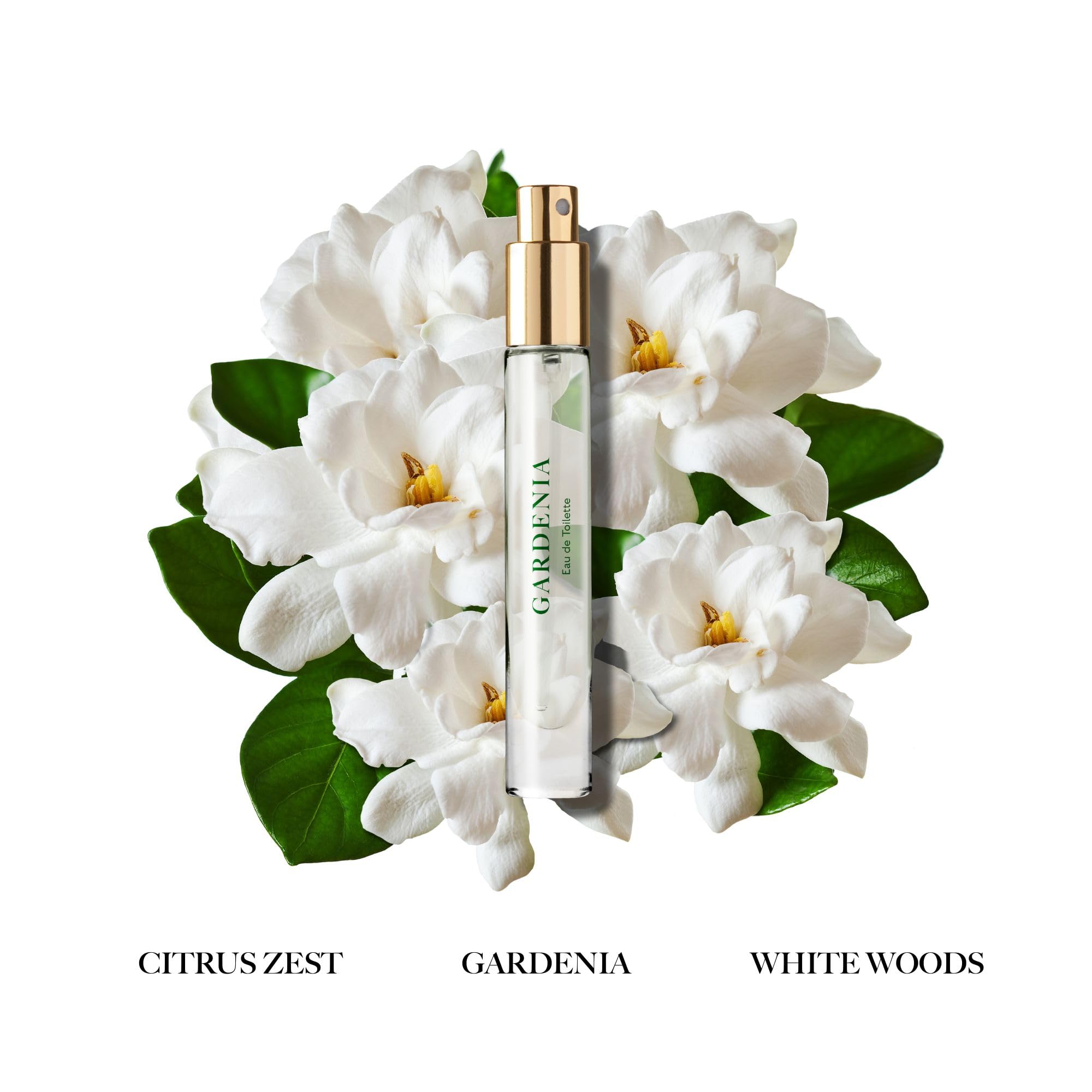 Amazon.com : Caswell-Massey Gardenia Eau de Toilette Spray