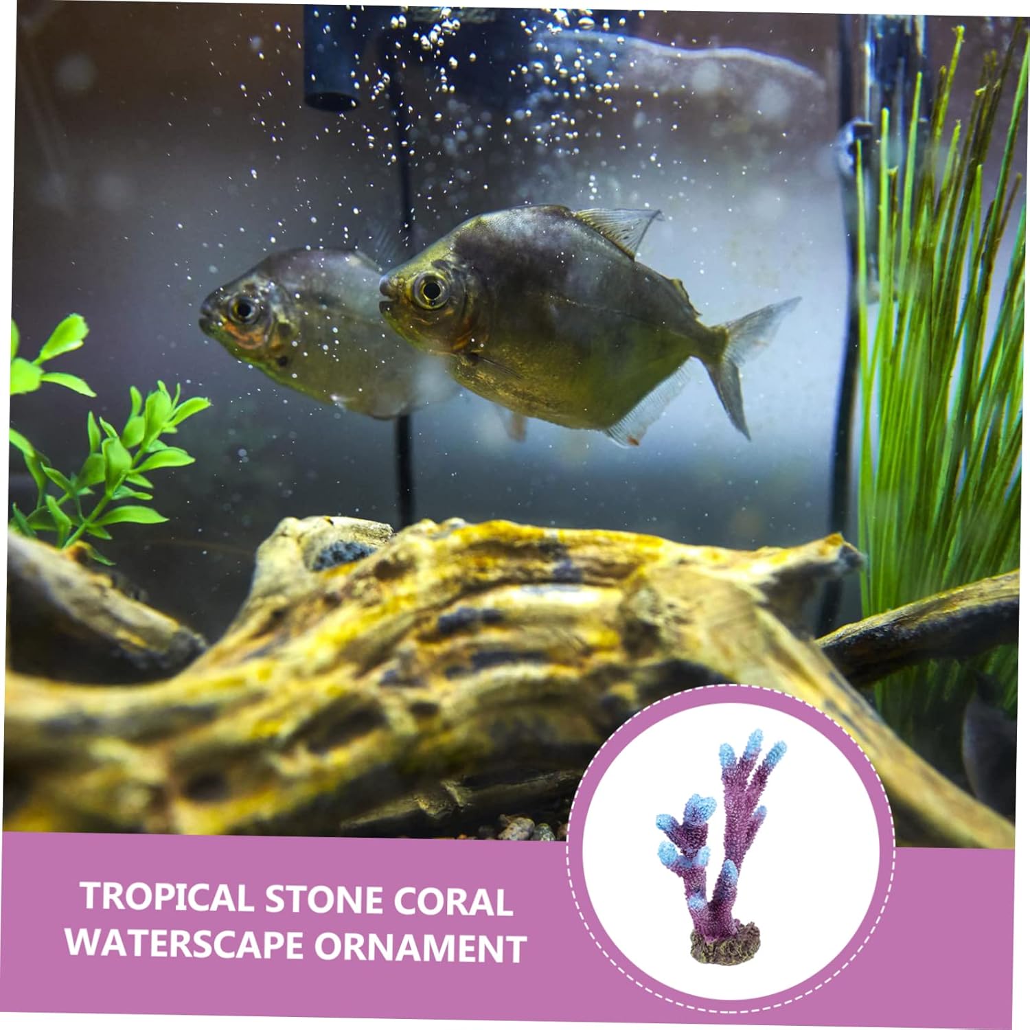 3pcs Aquarium Landscaping Coral Fish Tank Decor Aquarium Coral Landscape Aquarium Coral Decor Fish Tank Accessory Shrimp Feeding Dish Botanical Decor Accessori