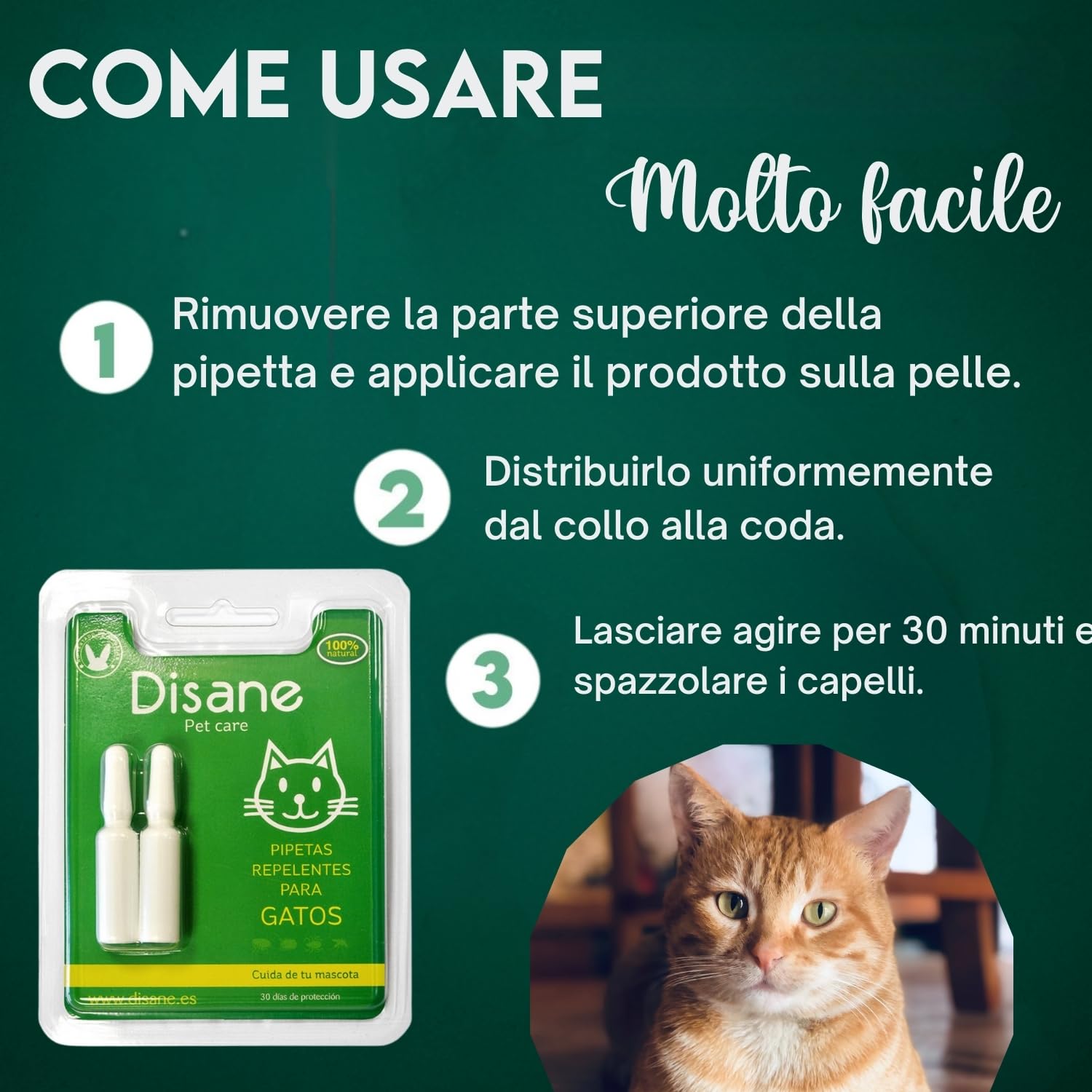 DISANE 2 Pipette Antiparassitarie per Gatti Naturale | 2 Mesi di Protezione Contro Insetti e parassiti: pulci, zecche e zanzare | Formulato sotto Controllo Veterinario Senza Tossicità per Il Gatto
