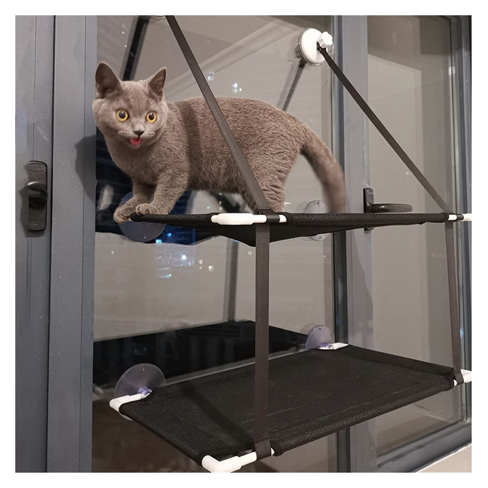 Hamac Chat/Perchoir à Chat Double couches chat hamac de chat chat chat chat chat suspendu montage de siège confortable tablette d'animal de compagnie repose détachable roulement 10kg Hamac pour Animau