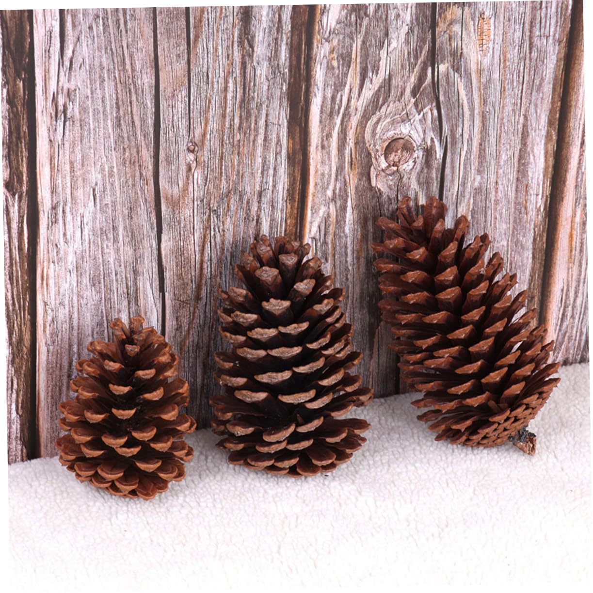 Ornamenti Decorativi in Pigne di Abete per Decorazioni Natalizie 6 Pezzi, Decorazioni Naturali per Casa, Pigne dallo Stile Campagnolo per Arredamento Esterno