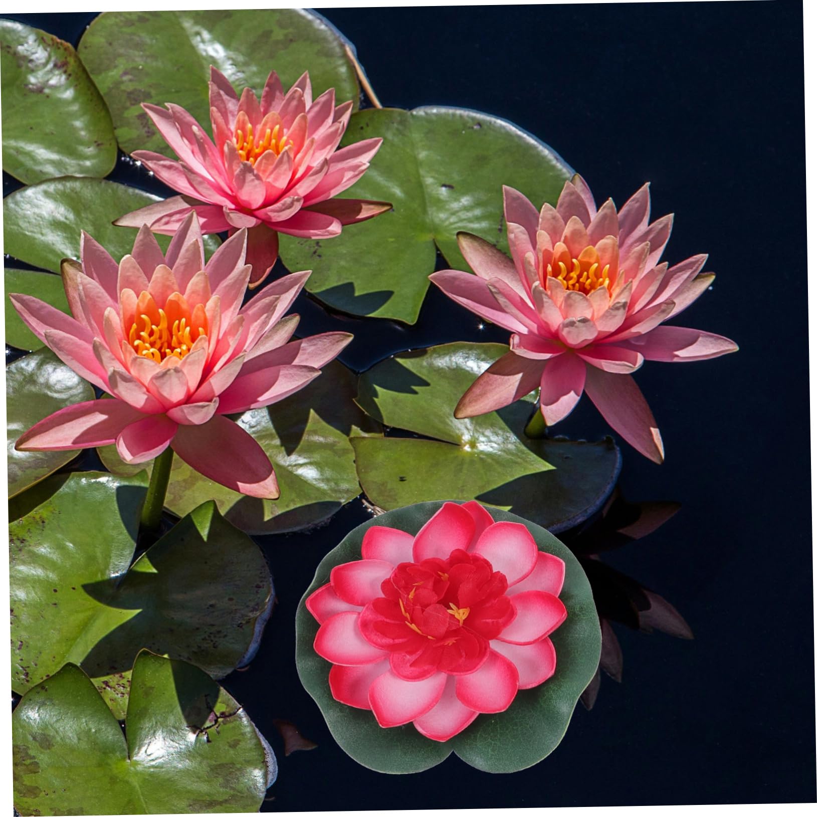 VALICLUD 4 pièces Fleurs de Lotus Artificielles Flottantes de Eva pour Bassins Aquariums et Décoration Naturelle Sécurisée pour Poissons Rouges Violettes Roses et Blanches
