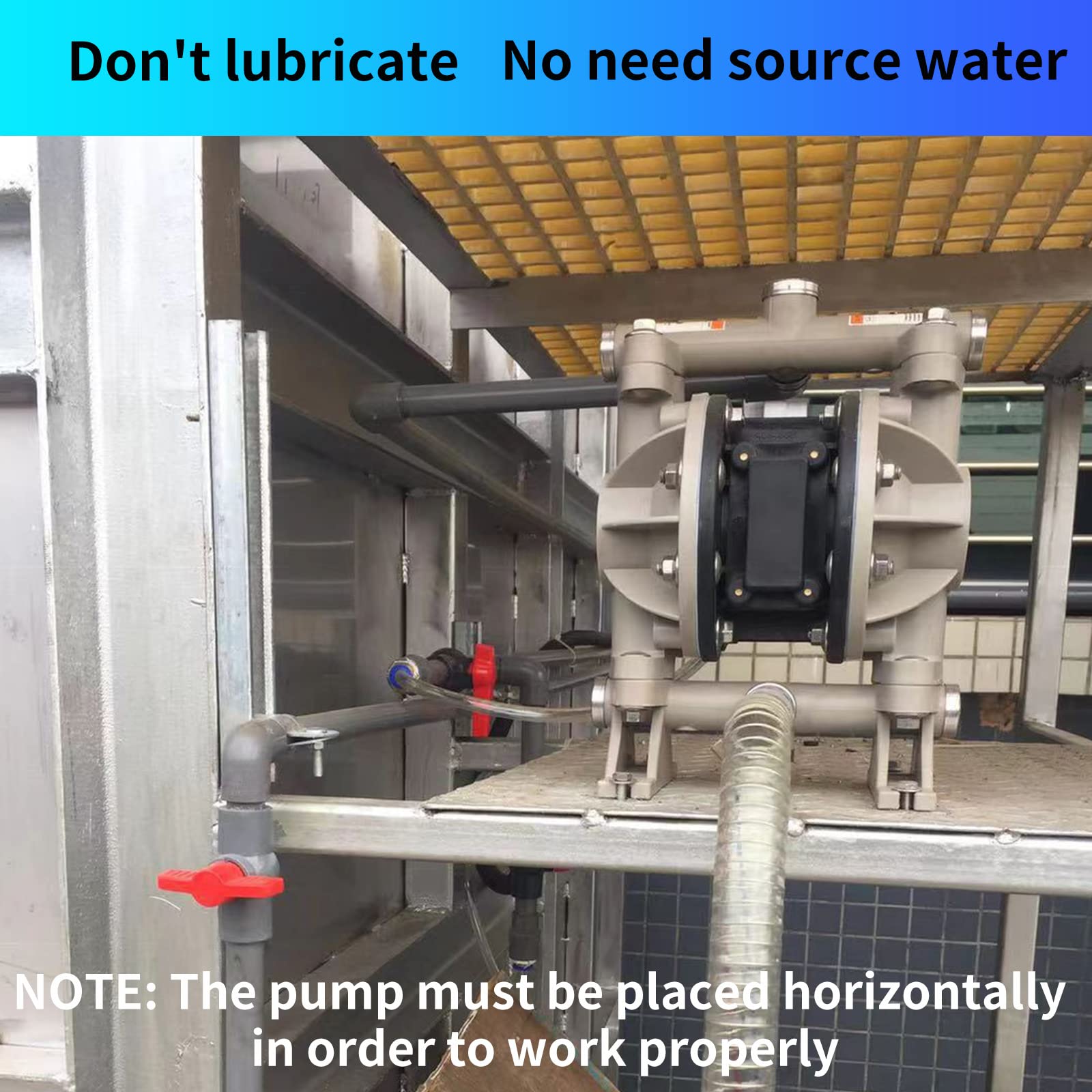Pompe à Membrane Pneumatique Double - Entrée/sortie 1" - 115PSI Max - 24GPM - Neuf