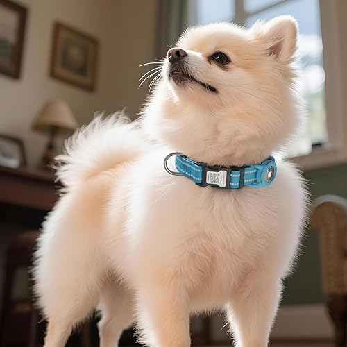 Miniatura 32 de Collar para perro Airtag con código QR, collar reflectante con soporte para Airtag, acolchado suave y hebilla de bloqueo de seguridad, collar Negro
