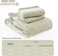 Vista 4 de DDUOXIN Edredón 100 % algodón, tamaño King, moderno a rayas con 2 fundas de almohada, juego de ropa de cama reversible ligero para todas