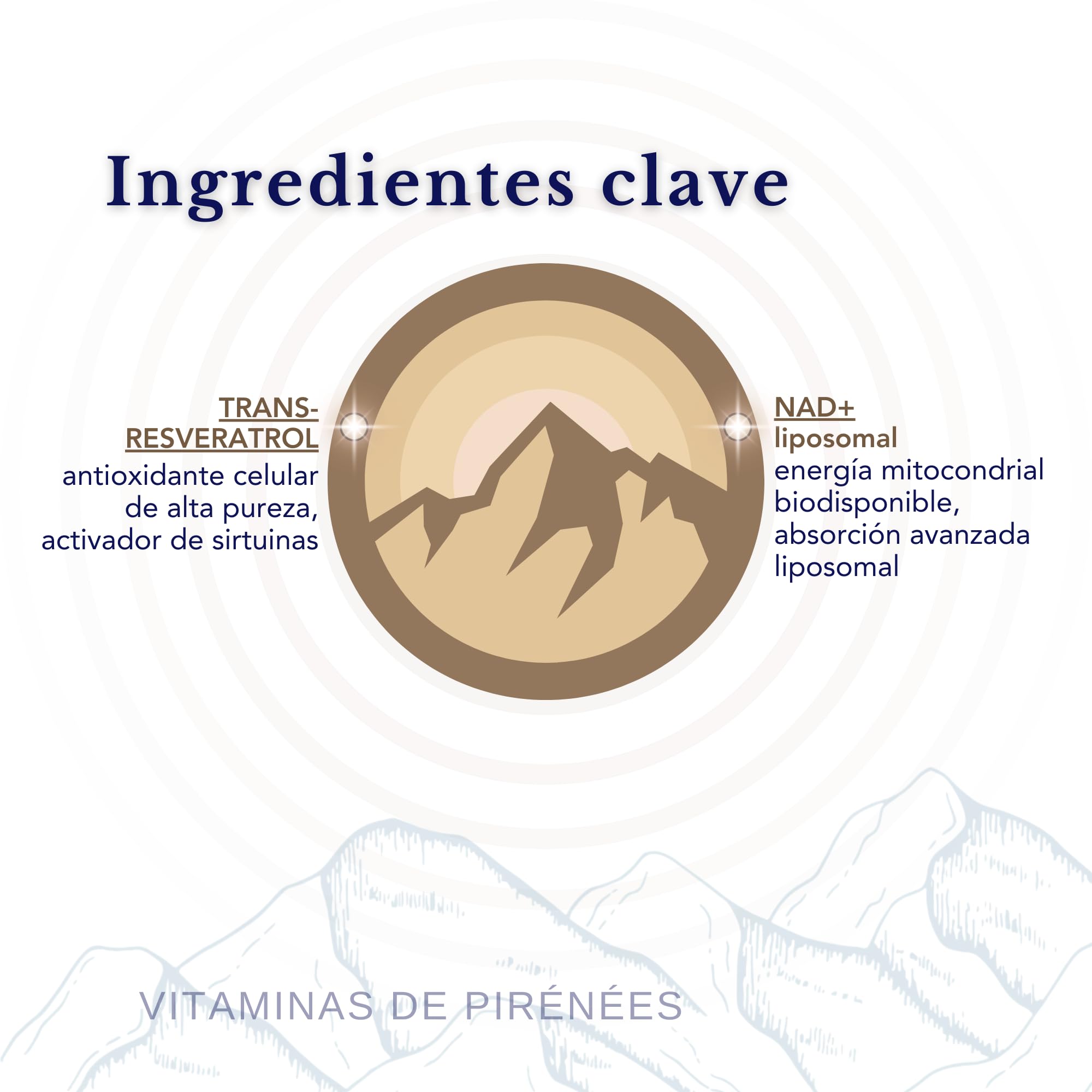 Nad+ Liposomal, Trans-Resveratrol, Quercetina - SmartAbsorb™ | para energía, metabolismo y función cerebral | 28 sobres diarios