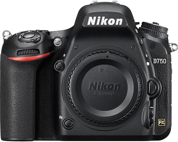 Nikon D750 FX-Format DSLR Camera & Monitor Bundle | For Photography & Video | 12 Inch + LED Light + 64GB Memory Card + Tripod + Charger + More