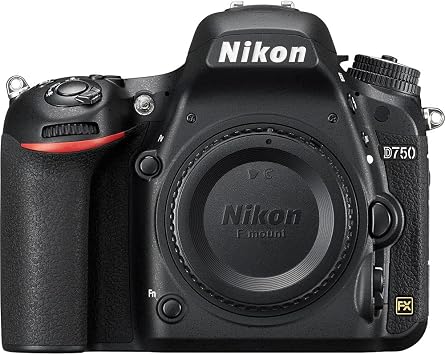 Nikon D750 FX-Format DSLR Camera & Monitor Bundle | For Photography & Video | 12 Inch + LED Light + 64GB Memory Card + Tripod + Charger + More