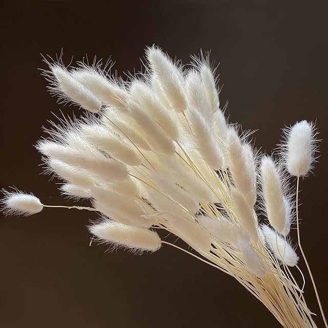 HUAESIN 60PCS Bunny Tails Pampas Grass Decor White Bunny Tails Grass Dried Flowers Bouquet 45cm-17.7inches Natural Rabbit Tails for Boho Decor Flower Arrangements Wedding Home Decor