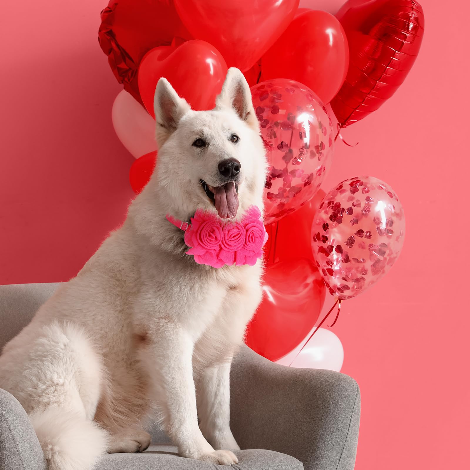Abbylike 100 Stück Valentinstags-Hundehalsband, Blumen, Schleifen, Hundepflege-Halsband, verstellbar, Haustier-Fliege, Katzen-Hundehalsband, Befestigung mit Blume für Valentinstag, Hochzeit,
