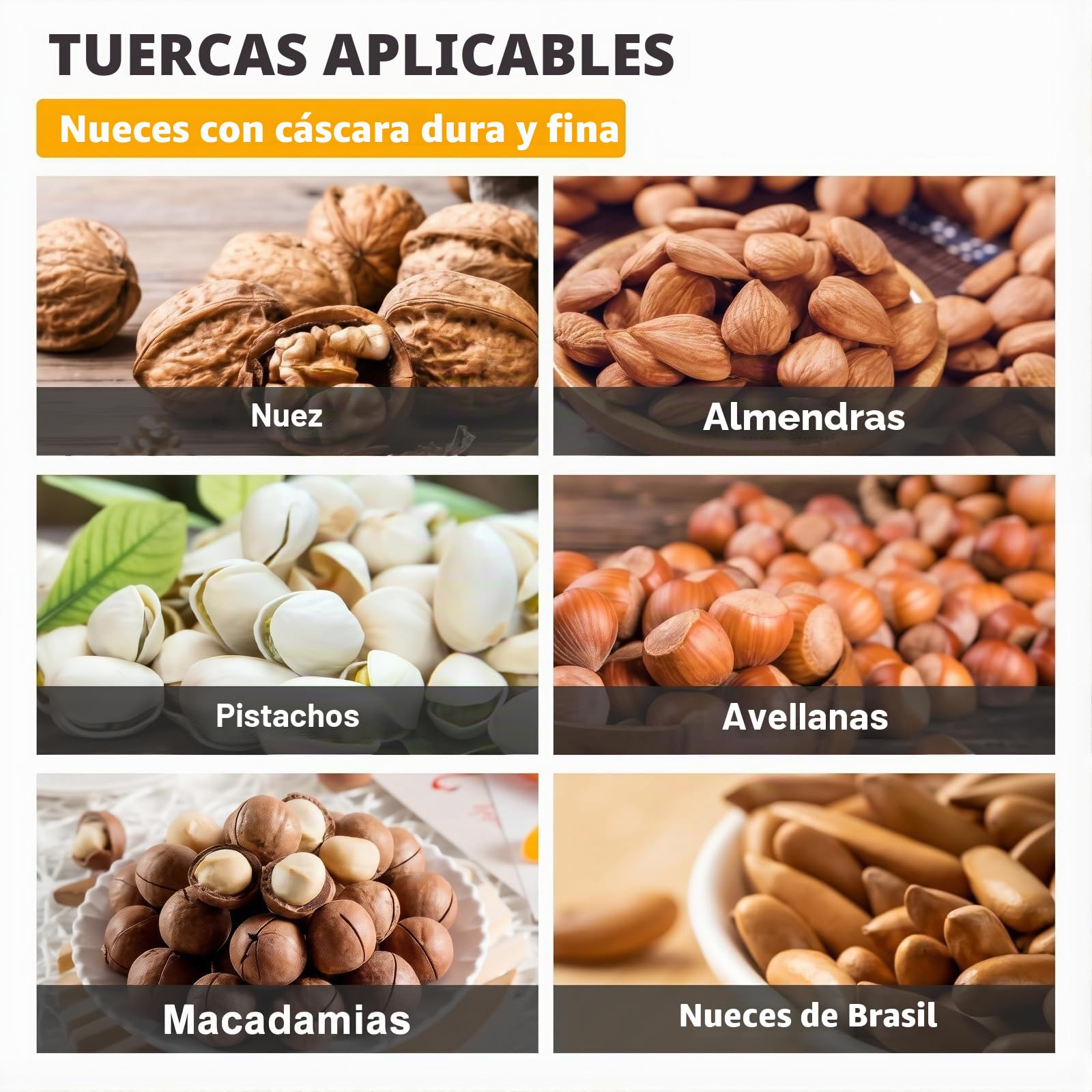 Cascanueces Eléctrico, Máquina Peladora de Nueces, Herramienta Multifuncional para Cascar Nueces, Nueces, Avellanas, Almendras y Nueces de Brasil White