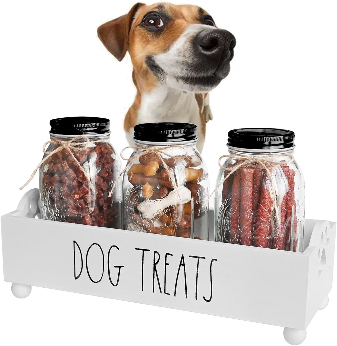 Pet Supplies Dog Treat Container, Pet Treat Holder with Glass Jars