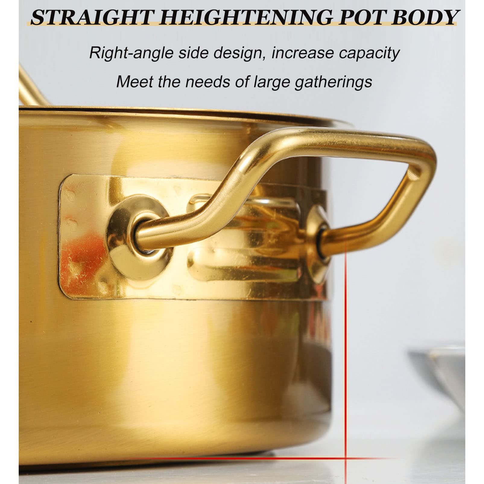 Amazon.com: Stainless Steel Shabu Shabu Pot Hot Pot, Double-Flavor