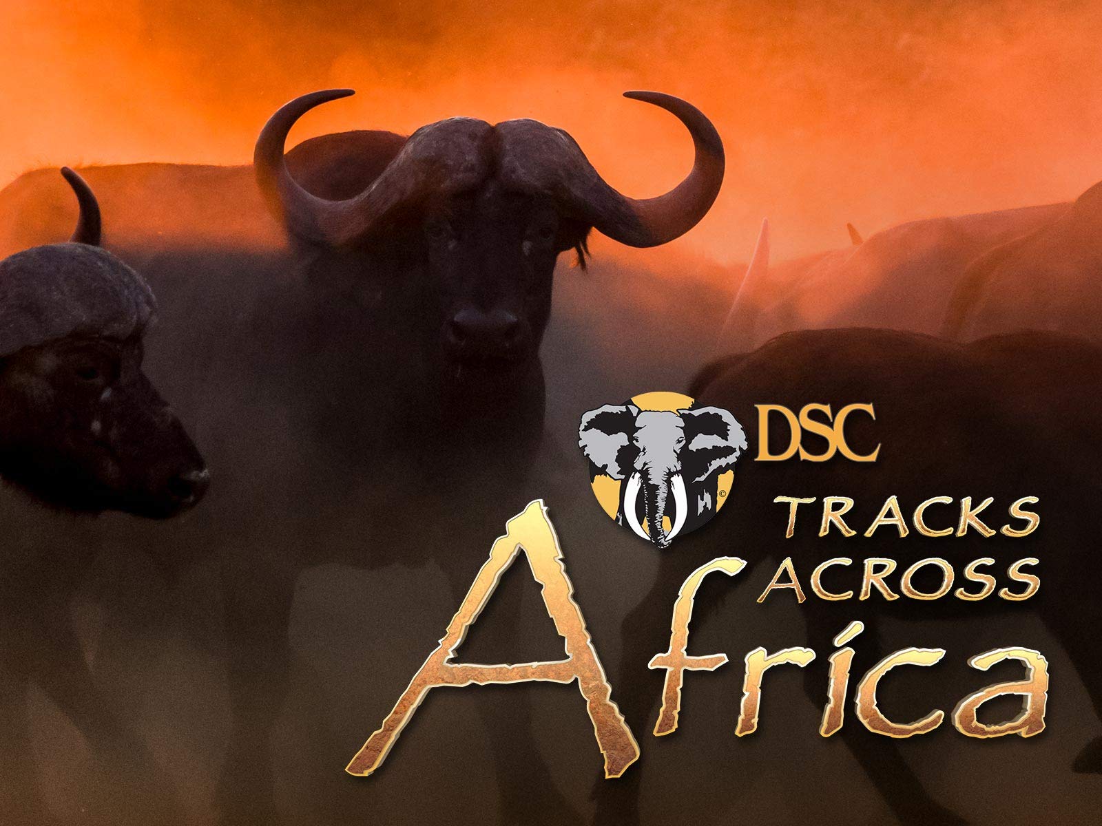 Tracks Across Africa - Season 9