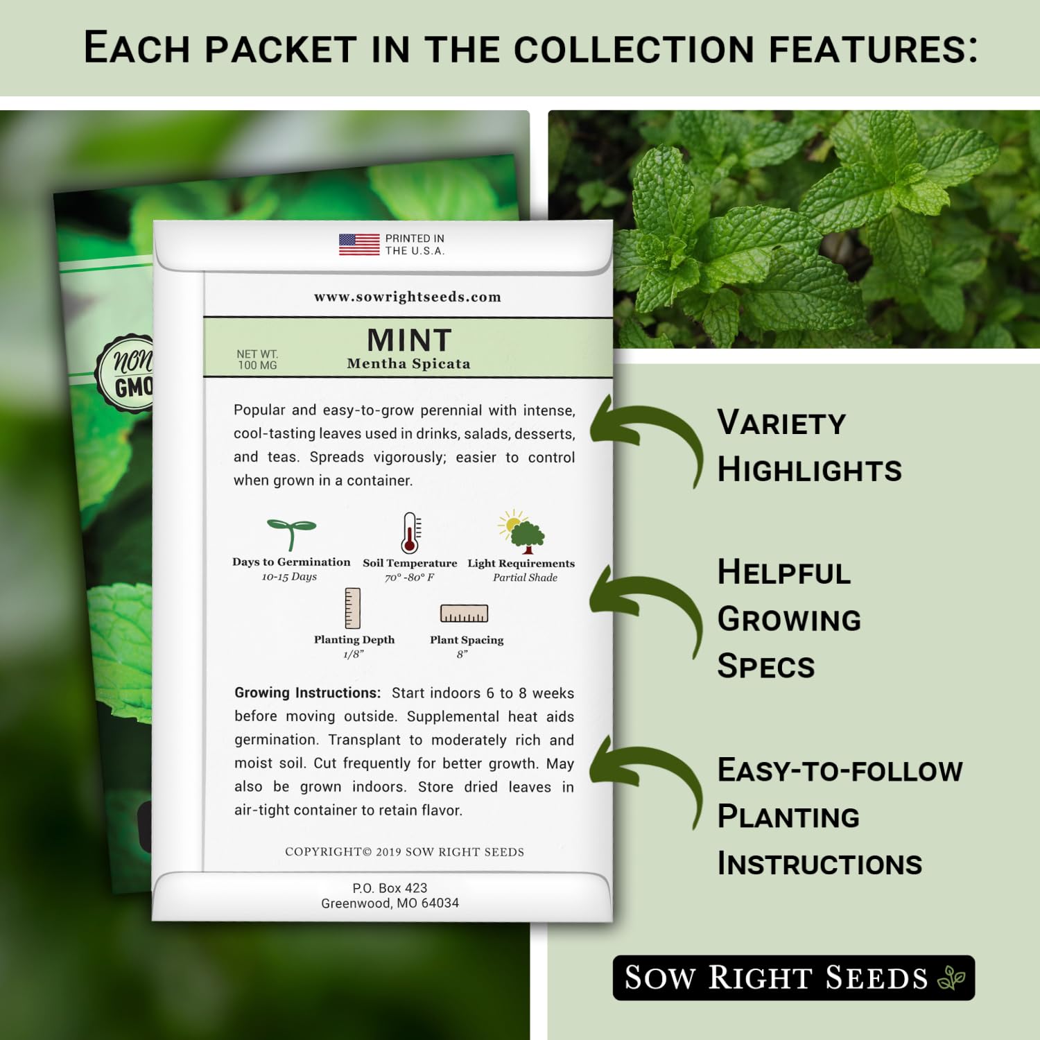 Colección de semillas de hierbas más popular para plantar - menta, lavanda, albahaca dulce, cilantro y perejil - 5 paquetes con instrucciones para cultivar un jardín de cocina casera 2