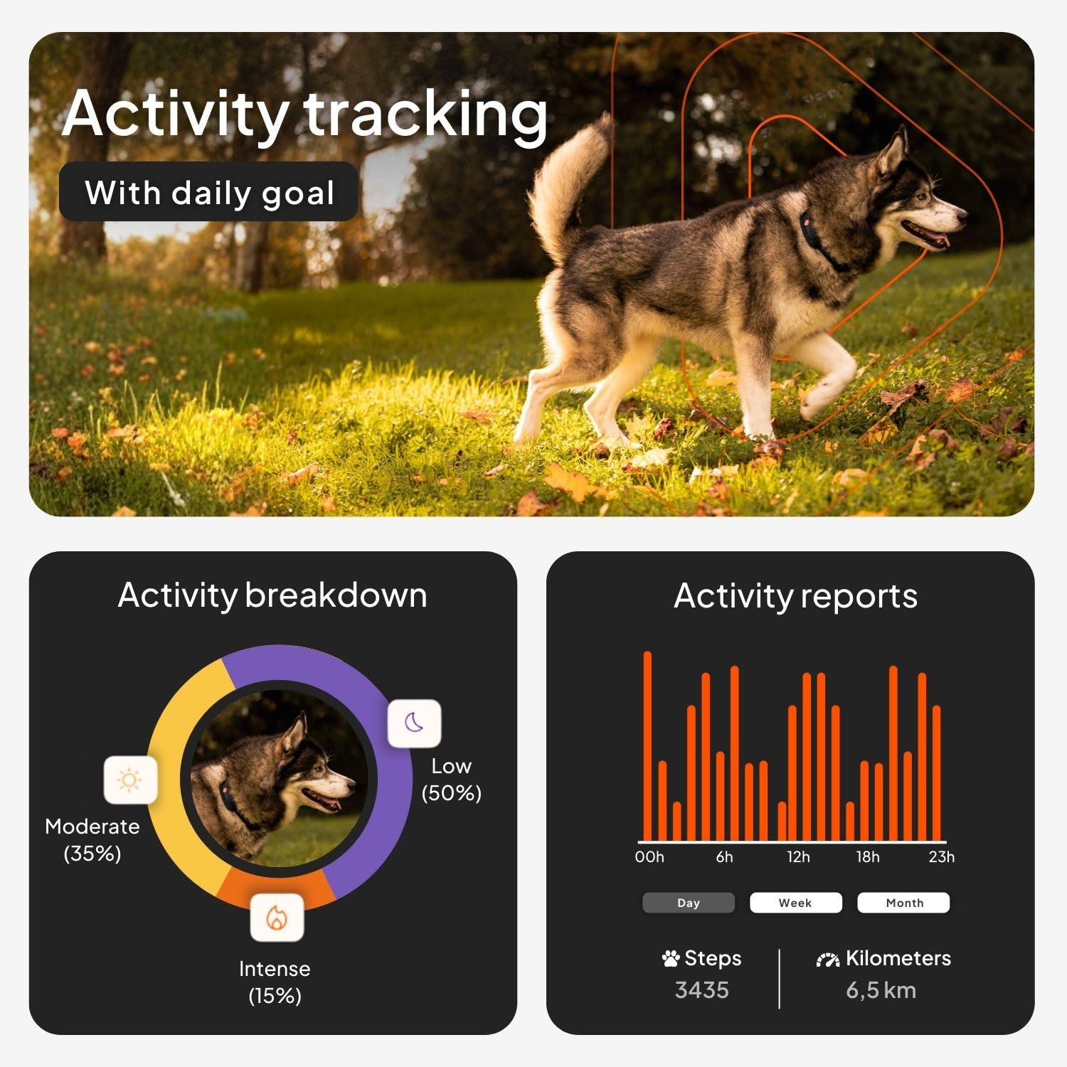 Weenect Dog XT - NEW GPS Collar for Dogs | XL Antenna | Waterproof | Ultra-Durable Integrated Julius-K9 Collar | Subscription Required - image 4