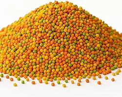 Extrusada média para Calopsita - Ring Neck - Rosela - Agapórnis - Caturita