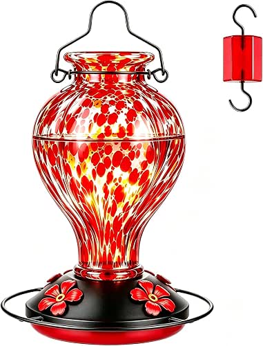 Hand Blown Glass Hummingbird Feeders for Outdoors Hanging, 24oz Wild