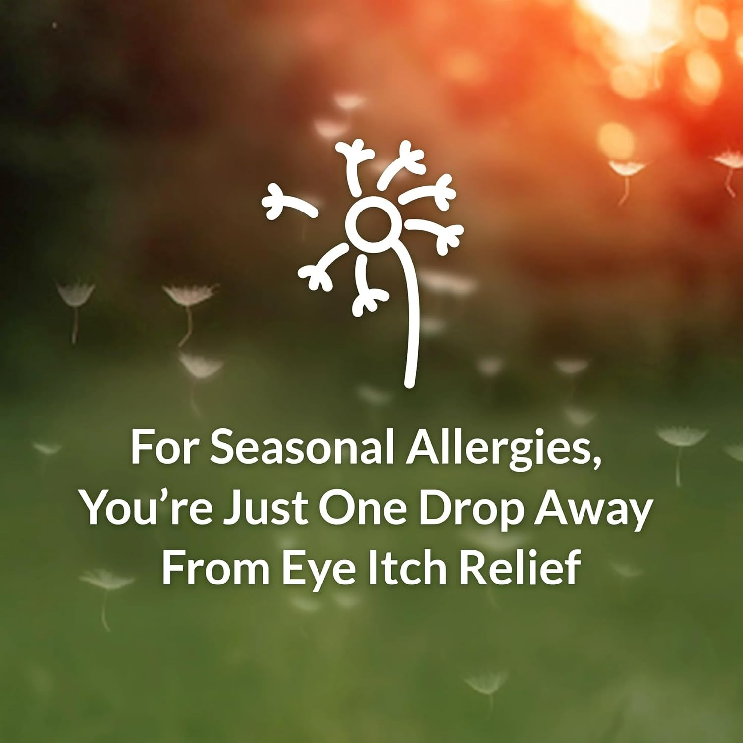 Alaway Bauch & Lomb Eye Itch Relief Drops (Pack of 4)
