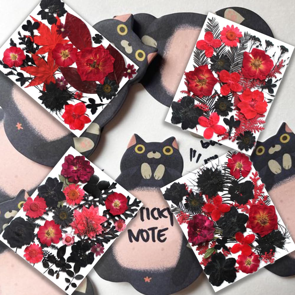 YouthBro 141PCS Black Red Dried Pressed Flowers for Resin Real Nature Flowers Herb Set for Christmas DIY Candle Soap Vase Making Nail Card Scrapbook Art Craft Floral Decors - Image 2