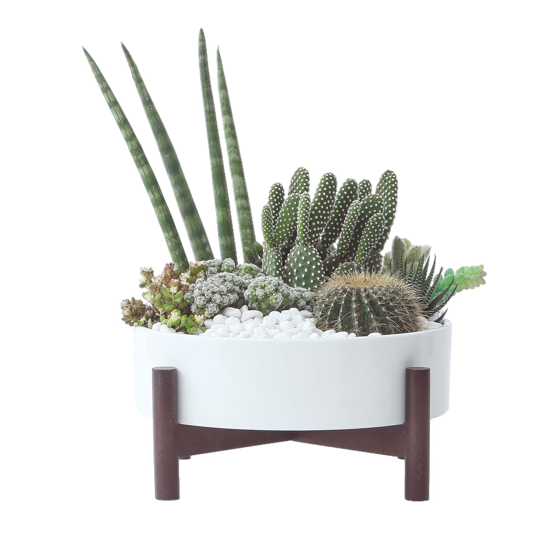 Woiida Large Round Ceramic Succulent Planter Pot with Drainage Holes,White Ceramic Pot with Removable Plugs and Wood Stand, Shadow Planter Bowl, Plant Cachepots,Table Centerpiece