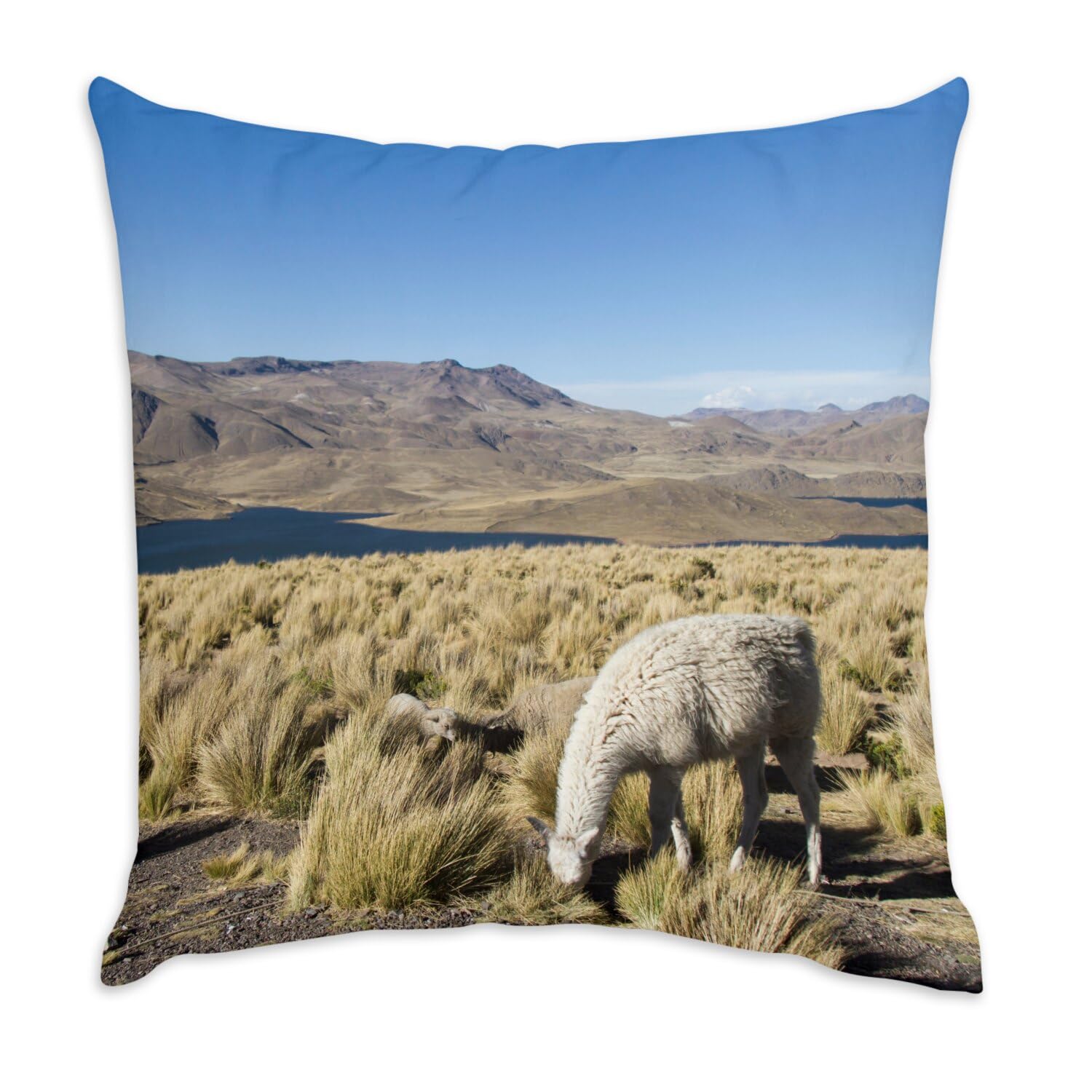 Coussin velours lamas pampa argentine blanc pour décorer un canapé