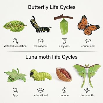 8Pcs Butterfly Growing Kit with Caterpillars, Educational Insect Life Cycle Set, Realistic Butterfly Kit, Luna Moth and Butterfly Growth Stages, Teaching Resources for Science Learning