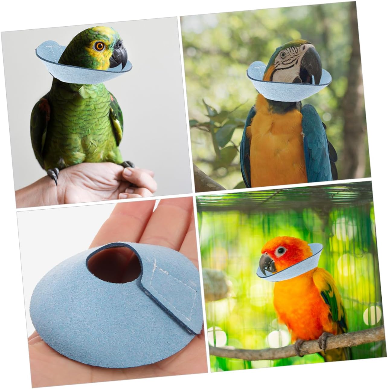 balacoo Parrot Neck Collar Protective Pecking for Birds Design Comfortable Lightweight for Recovery from Injury Surgery