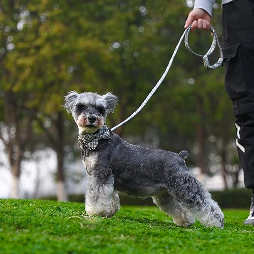 Juego de correa de collar de perro a cuadros con corbatín ajustable, lindo collar de cachorro con hebilla de metal duradera, collar de perro para