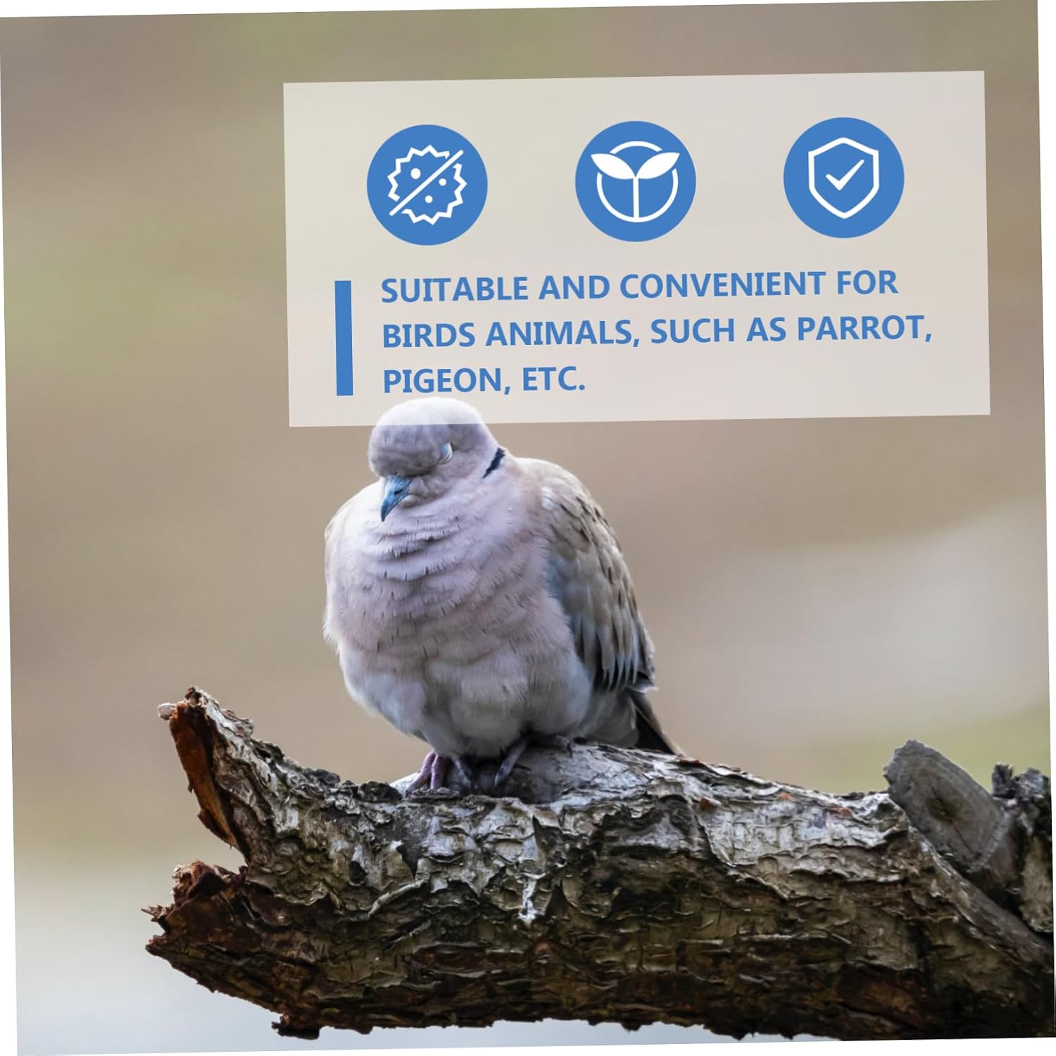 Automatic Bird Water Feeder Provides Clean Water 6.5L Plastic Blue | Parrot and Bird Use, Automatic Dispensing, Easy to Clean, Zoo and PET Shop Supply
