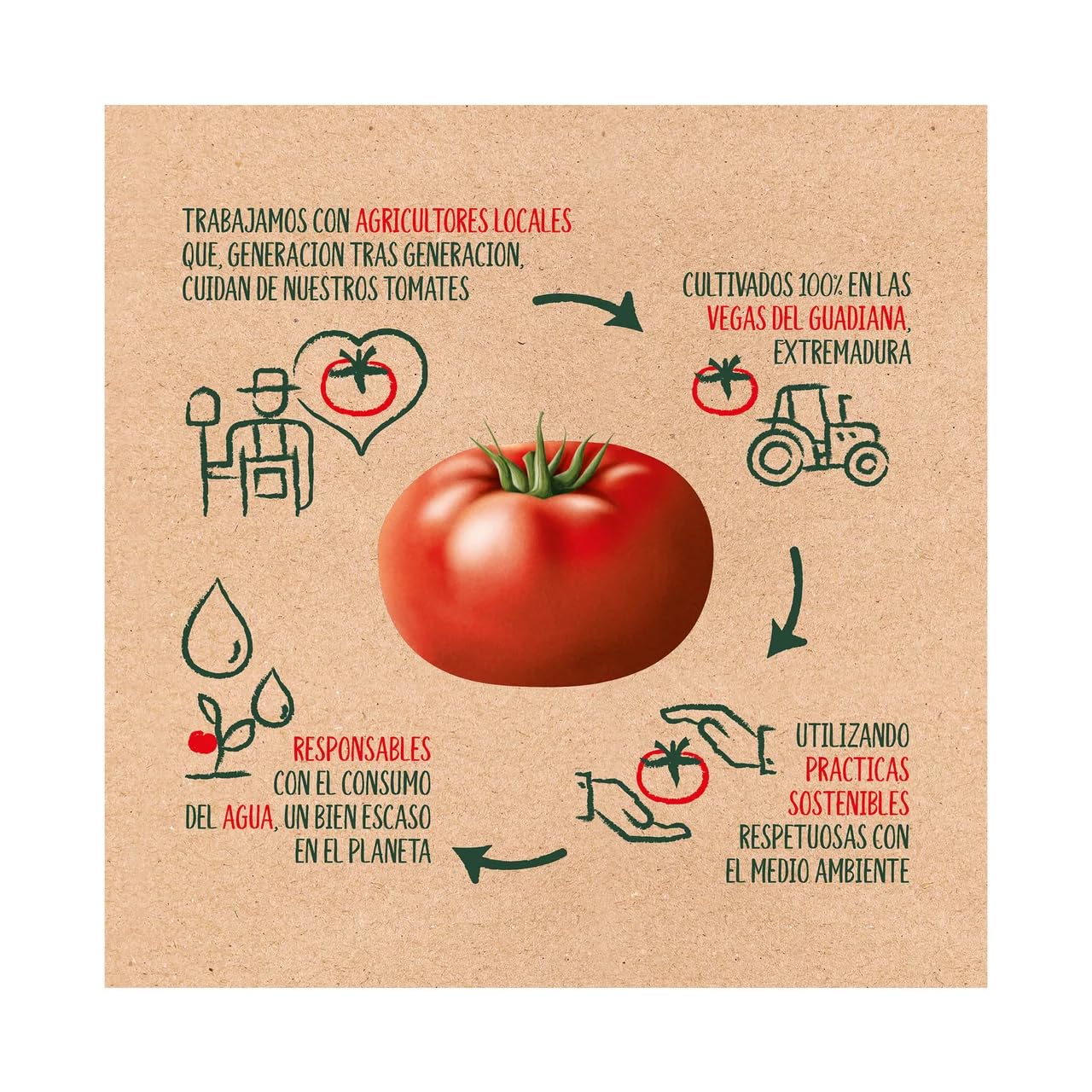 SOLÍS Tomaten für Sofrito mit Zwiebeln und Knoblauch, 340 g. 3er Packung.