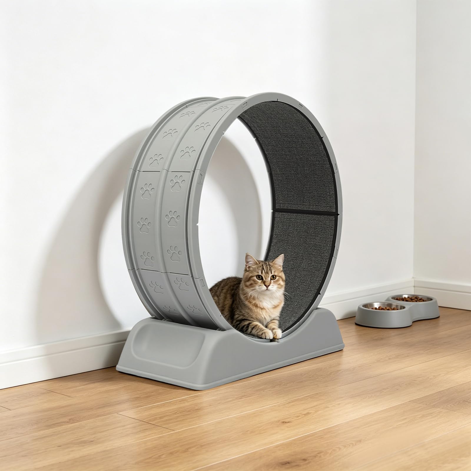 Katzenlaufrad 80cm Laufrad Katze mit Teppich & Spielzeug | Sicheres Laufrad aus PP-Harz, leise, rutschfester Teppich, abgerundete Kanten – für Wohnzimmer, Schlafzimmer & Balkon