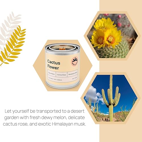 Miniatura 10 de Wick & Star Vegano no tóxico, mecha de madera, vela de aromaterapia de cera de soja de coco natural, combustión limpia (coco de sándalo)