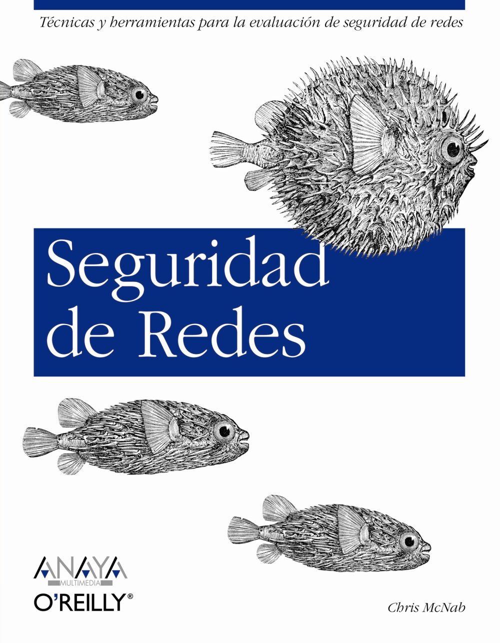 Seguridad De Redes/safety Nets