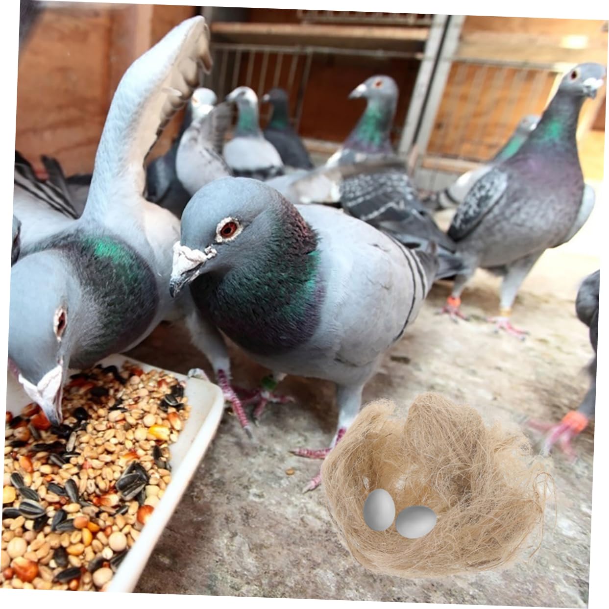 VANZACK 6confezioni La Costruzione di Niper Uccelli Letti di Cocco per Canarini Pappagalli e Piccoli Volatili di Materiale Morbido e Confortevole per Nidificazione e Rifugio