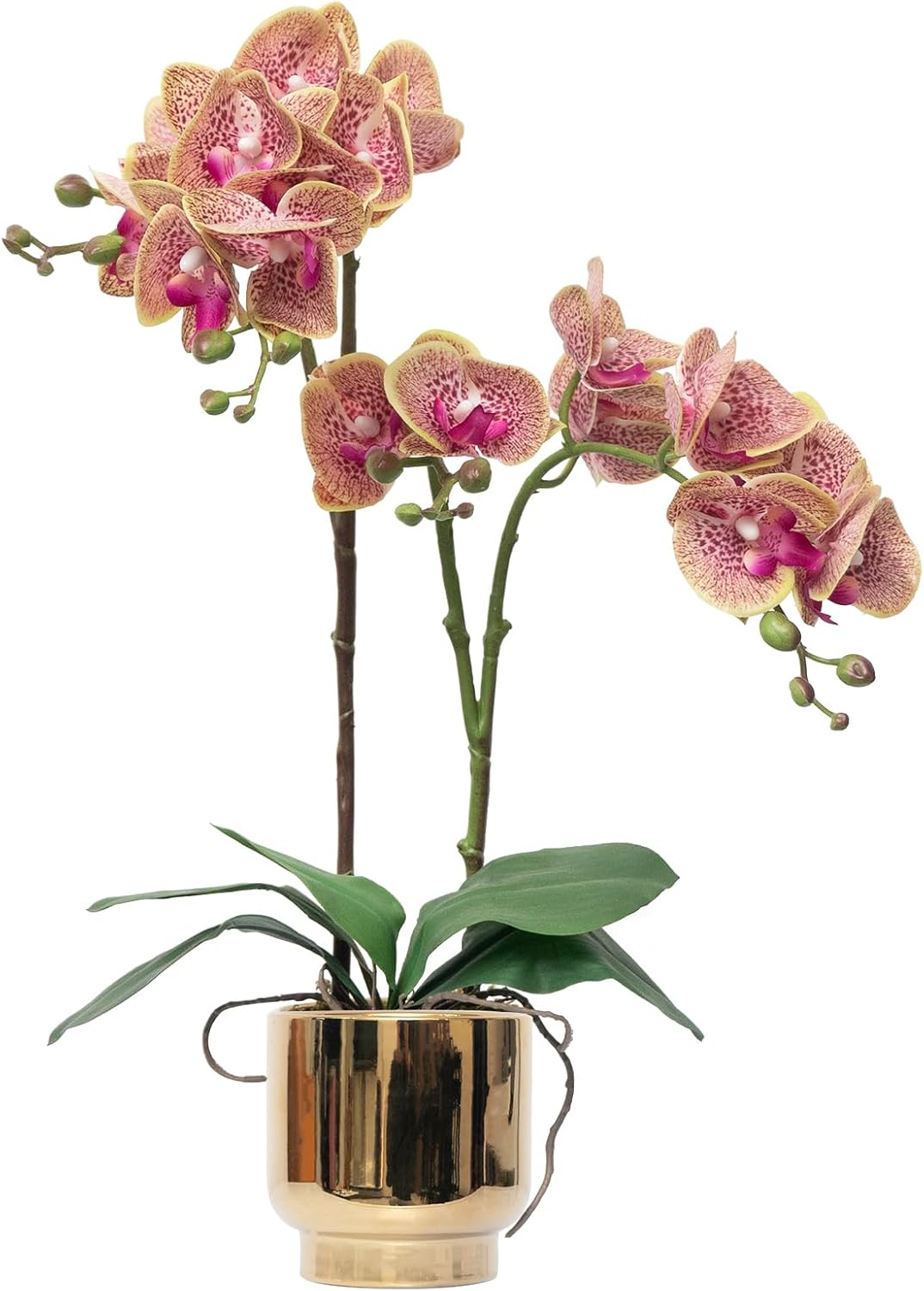 CXGS Orchids Artificial Flowers Real Touch Fake Flowers in Ceramic Pot 20" Purple Dapple Faux Orchid Plant Lifelike Silk Phalaenopsis for Centerpiece Hotel Home Indoor Decor