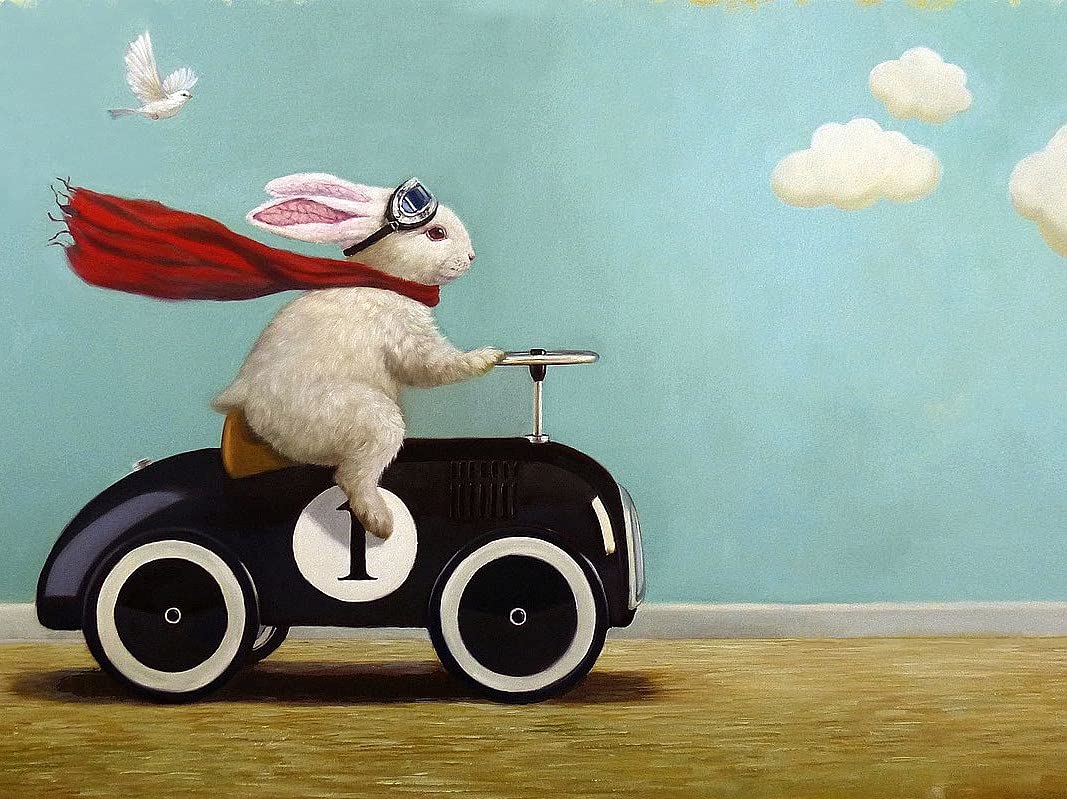 Amazon.com: Picture Peddler Road Trip by Lucia Heffernan Cute