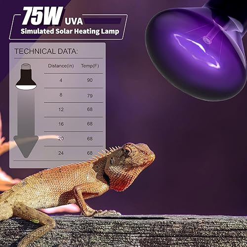 Miniatura 4 de LEDBOKLI Bombillas de calor para reptiles, lámpara de calor para reptiles, lámpara de calor de 75 W, bombillas infrarrojas para mascotas, bombilla