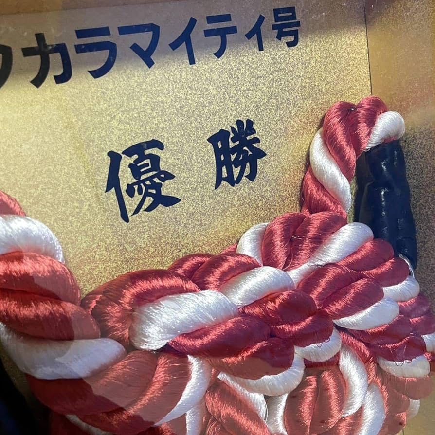 激レア 競馬 優勝 引き綱 額入 G1 地方競馬 キングカップ タカラマイティ Amazon.co.jp: 激 競馬 優勝 引き綱 額入 G1 地方競馬 キング